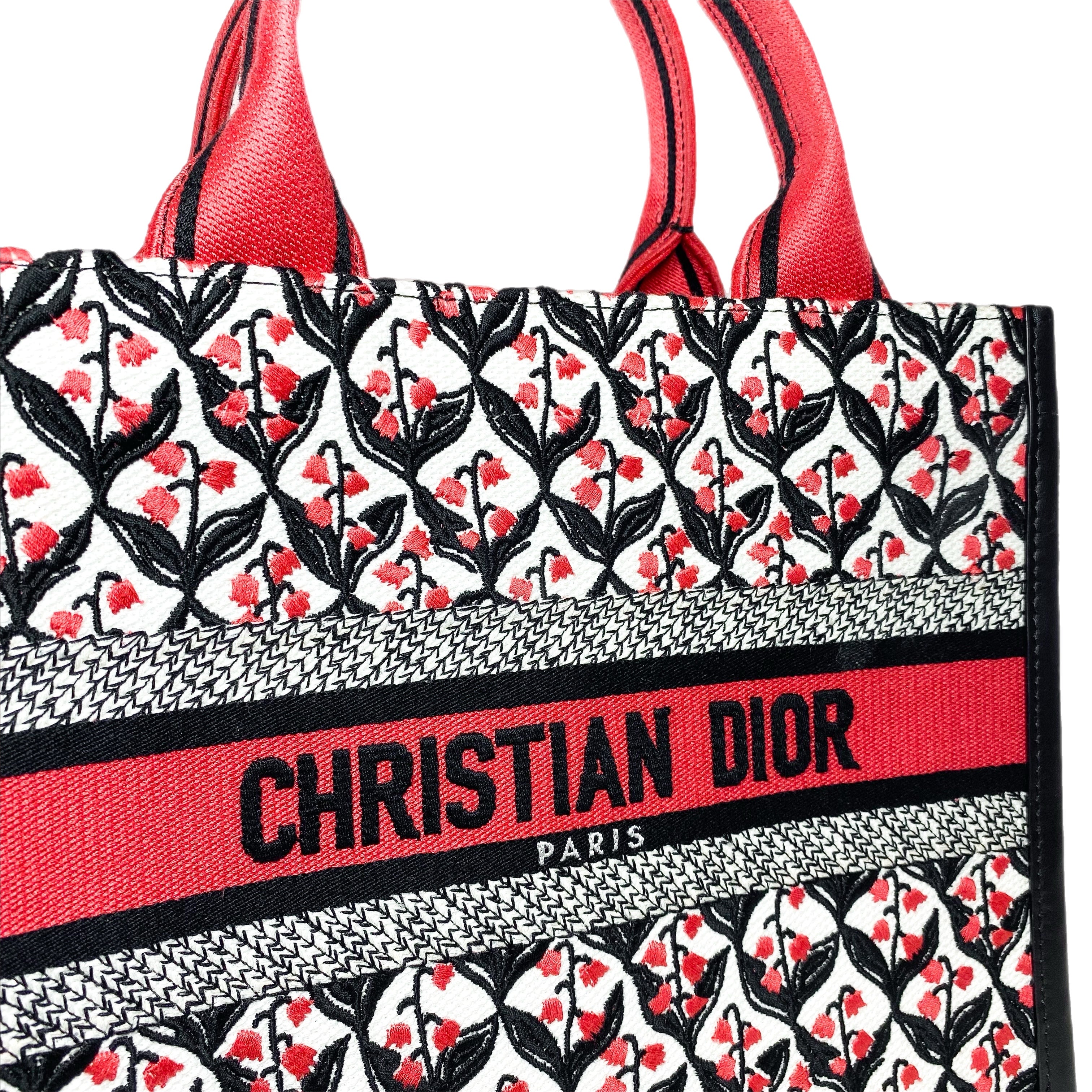 Dior Multicolor Embroidered Dioramour