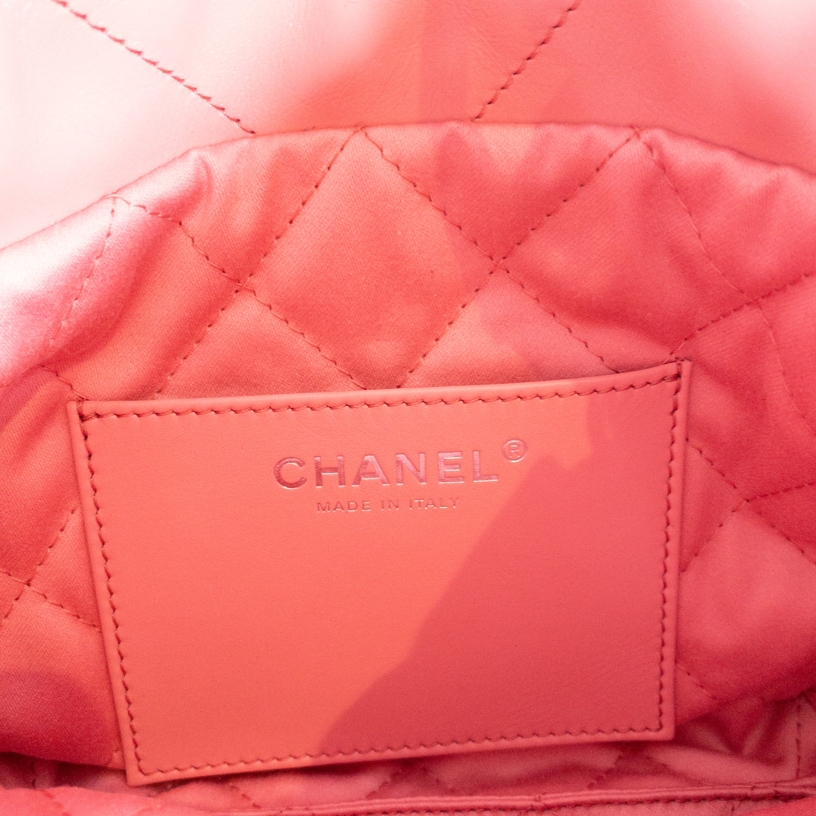 Chanel Pink Mini 22 Crossbody